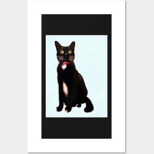 Black and White Tuxedo Cat Posters and Art